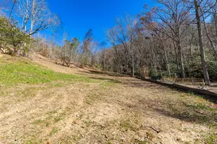 000 Cook Cove Rd, Weaverville, NC 28787 - Photo 25