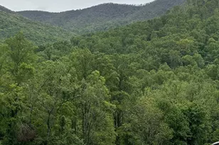 000 Cook Cove Rd, Weaverville, NC 28787 - Photo 35