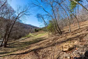 000 Cook Cove Rd, Weaverville, NC 28787 - Photo 23