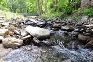 000 Cook Cove Rd, Weaverville, NC 28787 - Photo 29