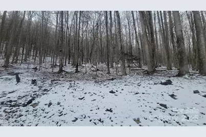 Lot 7B Hickory Springs Road #7B, Burnsville, NC 28714 - Photo 13