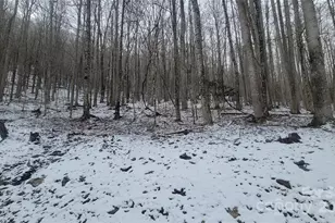 Lot 7B Hickory Springs Rd, Burnsville, NC 28714 - Photo 13