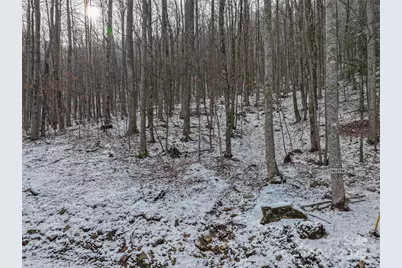 Lot 7B Hickory Springs Road #7B, Burnsville, NC 28714 - Photo 9