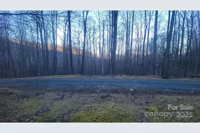 Lot 7B Hickory Springs Road #7B, Burnsville, NC 28714 - Photo 1