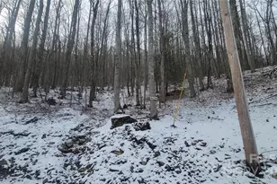 Lot 7B Hickory Springs Rd, Burnsville, NC 28714 - Photo 11