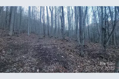 Lot 7B Hickory Springs Road #7B, Burnsville, NC 28714 - Photo 3