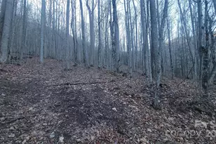 Lot 7B Hickory Springs Rd, Burnsville, NC 28714 - Photo 3