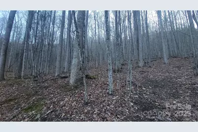 Lot 7B Hickory Springs Road #7B, Burnsville, NC 28714 - Photo 15