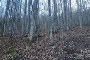 Lot 7B Hickory Springs Rd, Burnsville, NC 28714 - Photo 15