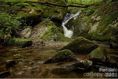 2736 White Oak Flats Road, Green Mountain, NC 28740 - Photo 33