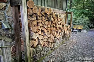 2736 White Oak Flats Rd, Green Mountain, NC 28740 - Photo 11