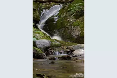 2736 White Oak Flats Road, Green Mountain, NC 28740 - Photo 35