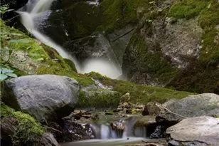 2736 White Oak Flats Rd, Green Mountain, NC 28740 - Photo 35