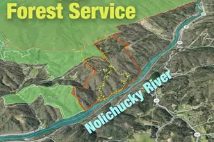 2736 White Oak Flats Rd, Green Mountain, NC 28740 - Photo 3