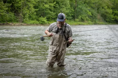 2736 White Oak Flats Road, Green Mountain, NC 28740 - Photo 9