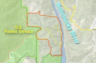 2736 White Oak Flats Rd, Green Mountain, NC 28740 - Photo 9