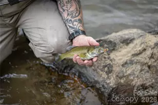 2736 White Oak Flats Rd, Green Mountain, NC 28740 - Photo 5