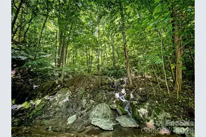 2736 White Oak Flats Road, Green Mountain, NC 28740 - Photo 31