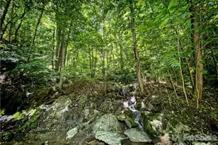 2736 White Oak Flats Rd, Green Mountain, NC 28740 - Photo 31