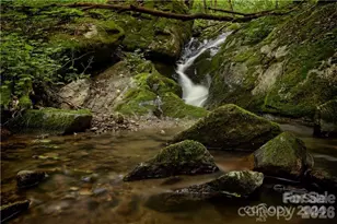 2736 White Oak Flats Rd, Green Mountain, NC 28740 - Photo 35