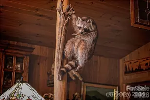 2736 White Oak Flats Rd, Green Mountain, NC 28740 - Photo 27