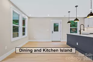 14 Knox Rd, Black Mountain, NC 28711 - Photo 17