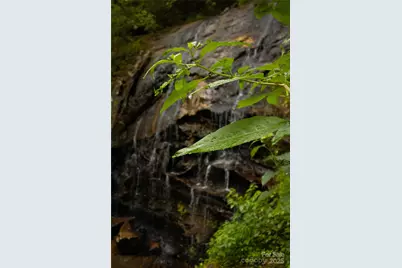 +/-17.73 Acres The Falls Road, Union Mills, NC 28167 - Photo 15