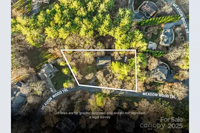 9 Meadow Wood Trail, Fletcher, NC 28732 - Photo 41