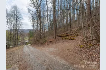 99999 Molasses Way #18, Waynesville, NC 28785 - Photo 3