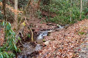 137 Echo Ridge, Maggie Valley, NC 28751 - Photo 9