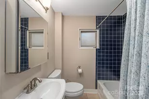 106 Spooks Branch Rd, Asheville, NC 28804 - Photo 21