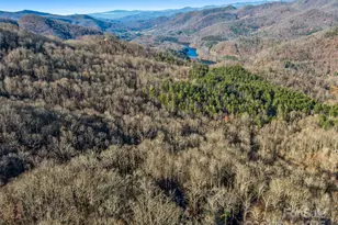 298 Hedgewood Dr, Tuckasegee, NC 28783 - Photo 37