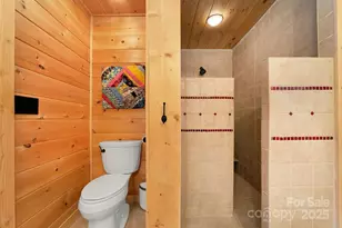 116 Wahuhu Ct, Brevard, NC 28712 - Photo 23