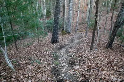 116 Wahuhu Court, Brevard, NC 28712 - Photo 45