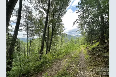 3606 Nc Highway 194 None S, Sugar Grove, NC 28679 - Photo 23