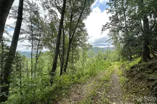 3606 Nc Hwy 194 None S, Sugar Grove, NC 28679 - Photo 23