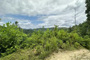 3606 Nc Hwy 194 None S, Sugar Grove, NC 28679 - Photo 19