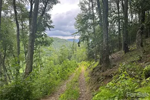 3606 Nc Hwy 194 None S, Sugar Grove, NC 28679 - Photo 11