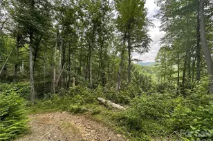 3606 Nc Hwy 194 None S, Sugar Grove, NC 28679 - Photo 33