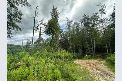 3606 Nc Highway 194 None S, Sugar Grove, NC 28679 - Photo 21