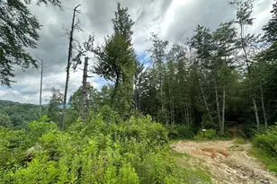 3606 Nc Hwy 194 None S, Sugar Grove, NC 28679 - Photo 23