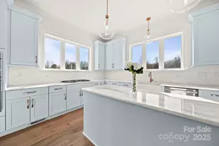 16612 Blackberry Hills Dr, Midland, NC 28107 - Photo 5