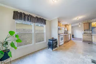 27 Moonflower Mountain Ln, Leicester, NC 28748 - Photo 9