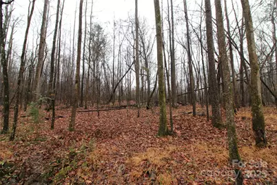5+/-Ac Eaker Road #LOT 1, Bessemer City, NC 28016 - Photo 5
