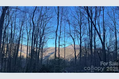 545 Timberline Drive, Maggie Valley, NC 28751 - Photo 5