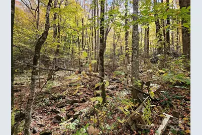 25 Hollow Log Road, Burnsville, NC 28714 - Photo 33