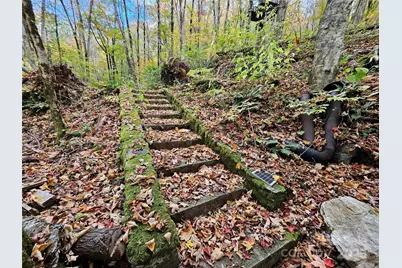 25 Hollow Log Road, Burnsville, NC 28714 - Photo 7