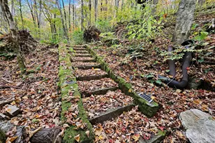 25 Hollow Log Rd, Burnsville, NC 28714 - Photo 7