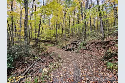 25 Hollow Log Road, Burnsville, NC 28714 - Photo 35