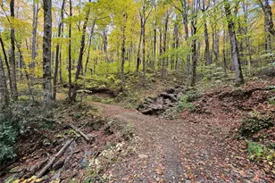 25 Hollow Log Rd, Burnsville, NC 28714 - Photo 35